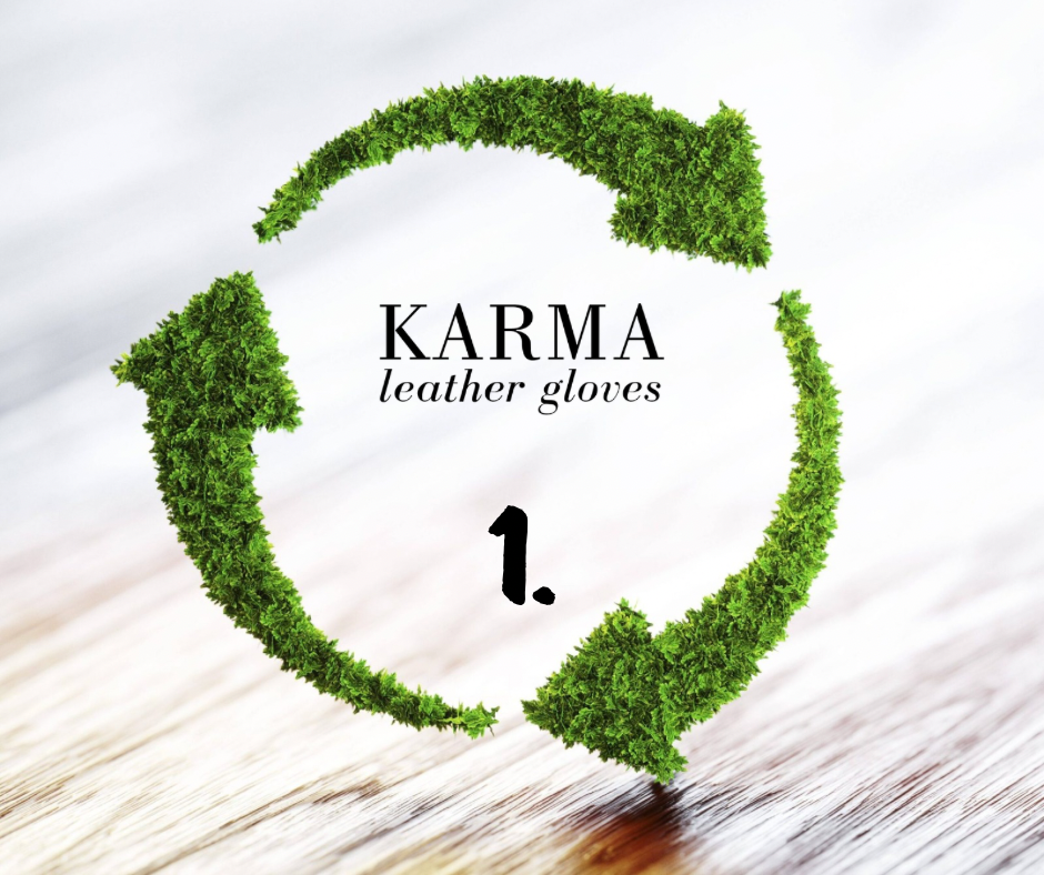 Fenntarthatóság a mi szemünkkel 1. rész