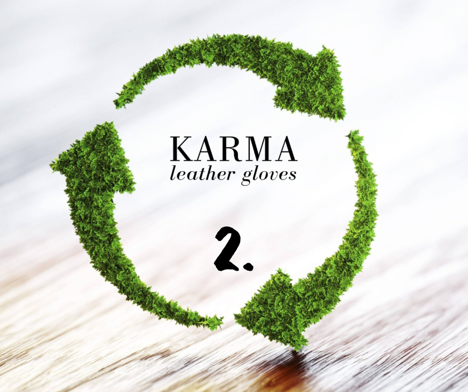 Fenntarthatóság a mi szemünkkel 2. rész